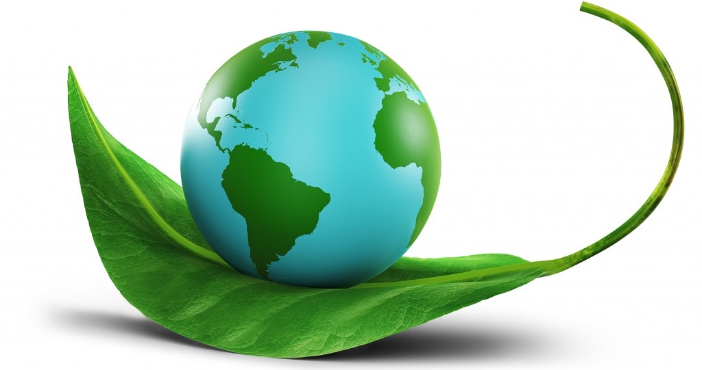 environmental-conservation-concept-1024x682